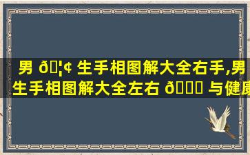男 🦢 生手相图解大全右手,男生手相图解大全左右 🐝 与健康
